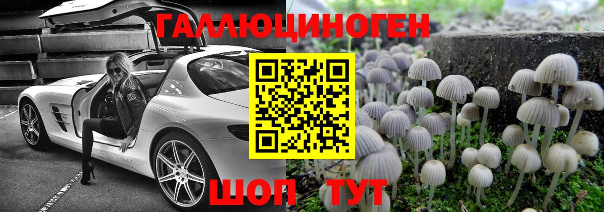 Отрадный  Псилоцибиновые грибы Magic Shrooms  закладка  Вход с VPN  Псилоцибиновые грибы ЛСД 